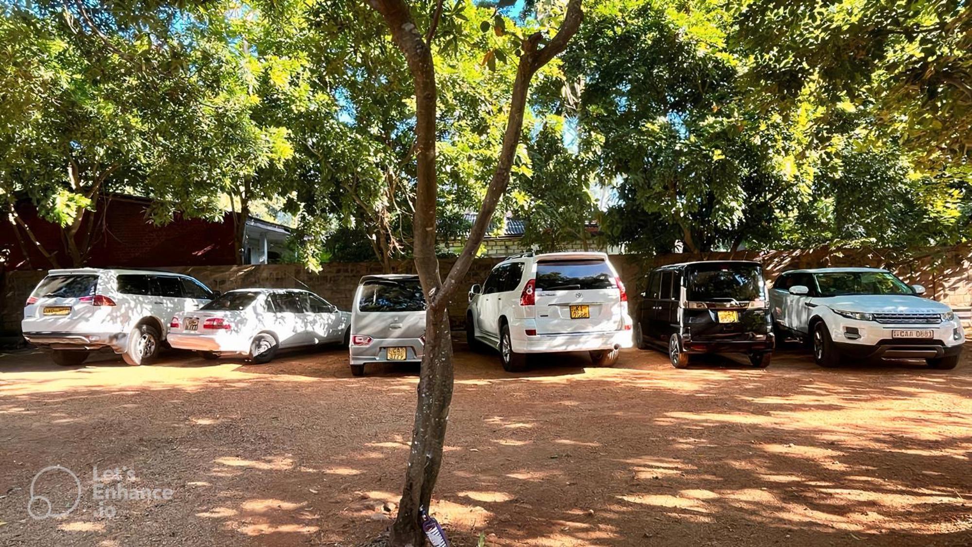 Honey Tree Polonnaruwa Hotel Exterior foto